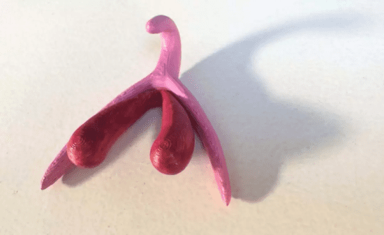 在内部,还有身子和脚,以及两个前庭球