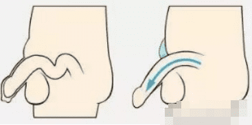 知识丨阿拉伯挤奶法真能使丁丁变大变长 - 小科普
